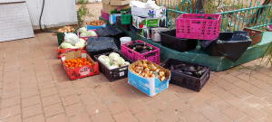 A small sample of Donated Food